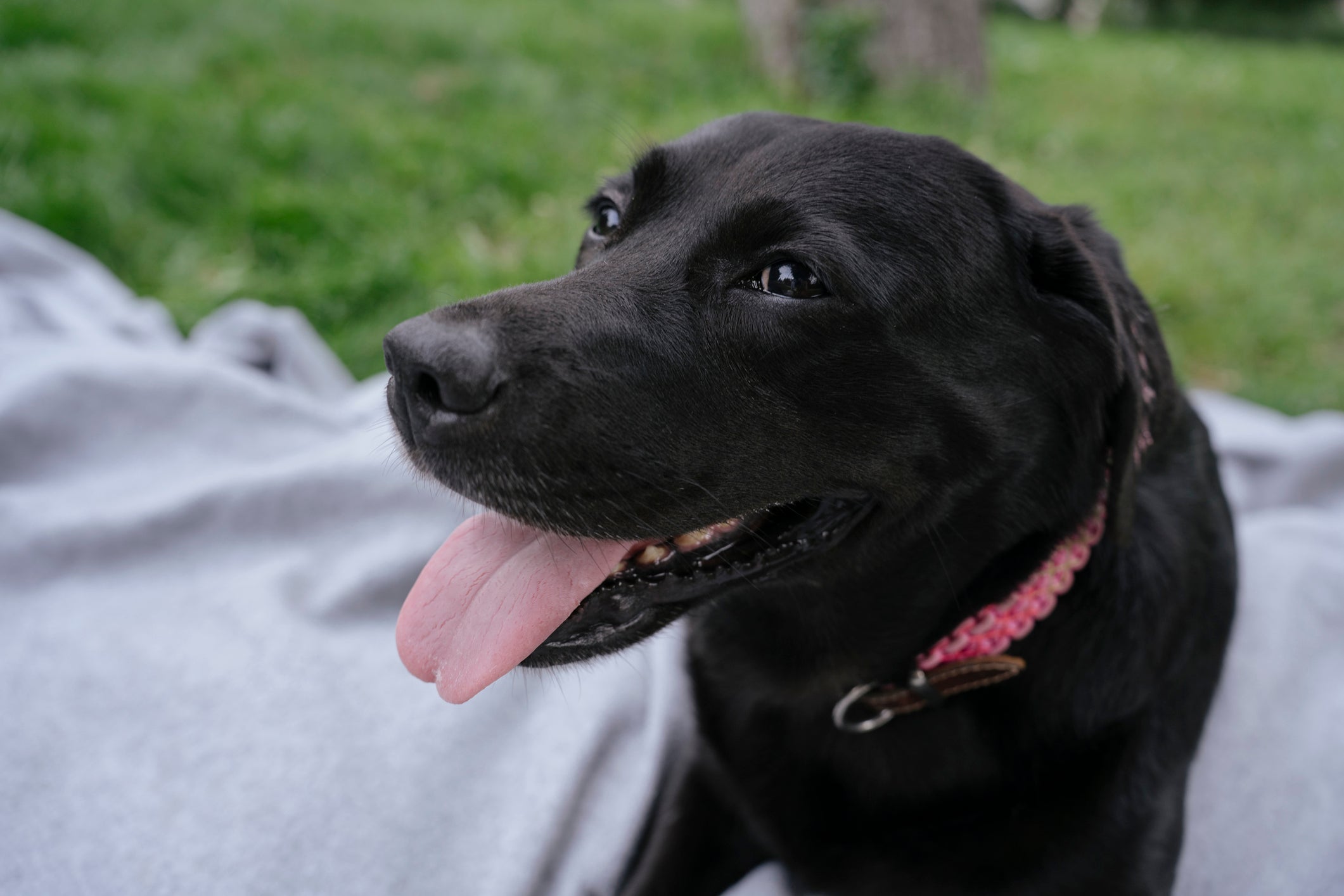 Reflexos de Joias e Pedras Preciosas Escuras - inspiração 1