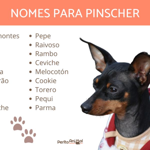 Sonoridade: A Importância da Escolha Fonética - inspiração 1