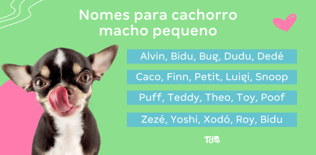 Nomes Divertidos e Criativos: Para Personalidades Cheias de Alegria - inspiração 1
