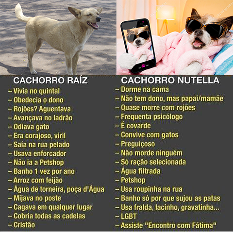 Nomes Curtos e Sonoros: Fáceis de Chamar e de Lembrar - inspiração 1