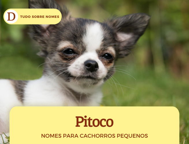 Nomes de Raças Famosas e Mitologias: Um Charme Extra - inspiração 2