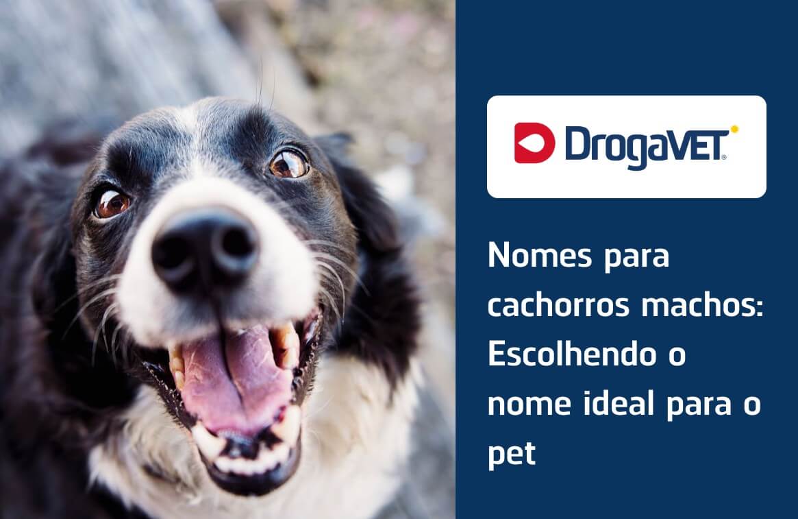 Nomes que Combinam com a Aparência: Do Peludo ao Elegante - inspiração 1