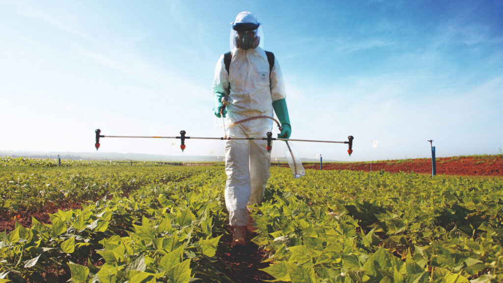 Benefícios de Ter o Certificado MoPP na Sua Carreira - inspiração 1