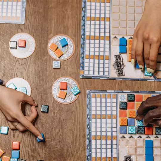 Organizando Componentes Soltos: Bolsas e Divisórias - inspiração 2