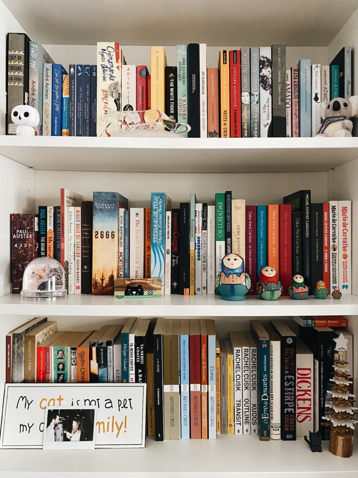 Livros por Cor: O Arco-Íris que Sua Parede Merece - inspiração 1