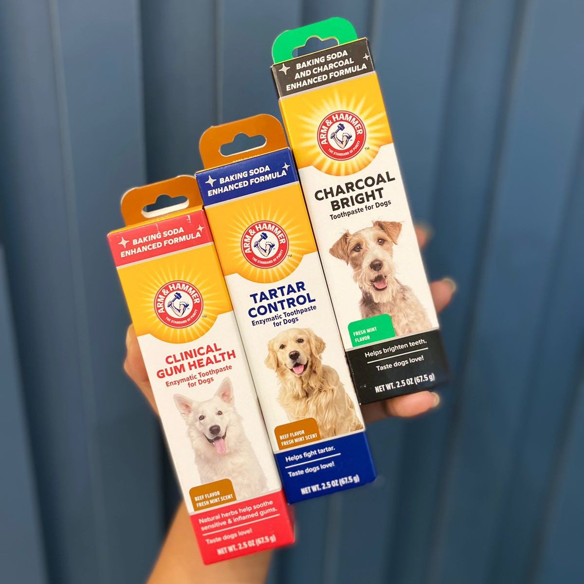 A Regra de Ouro: Pasta de Dente Específica para Cães!