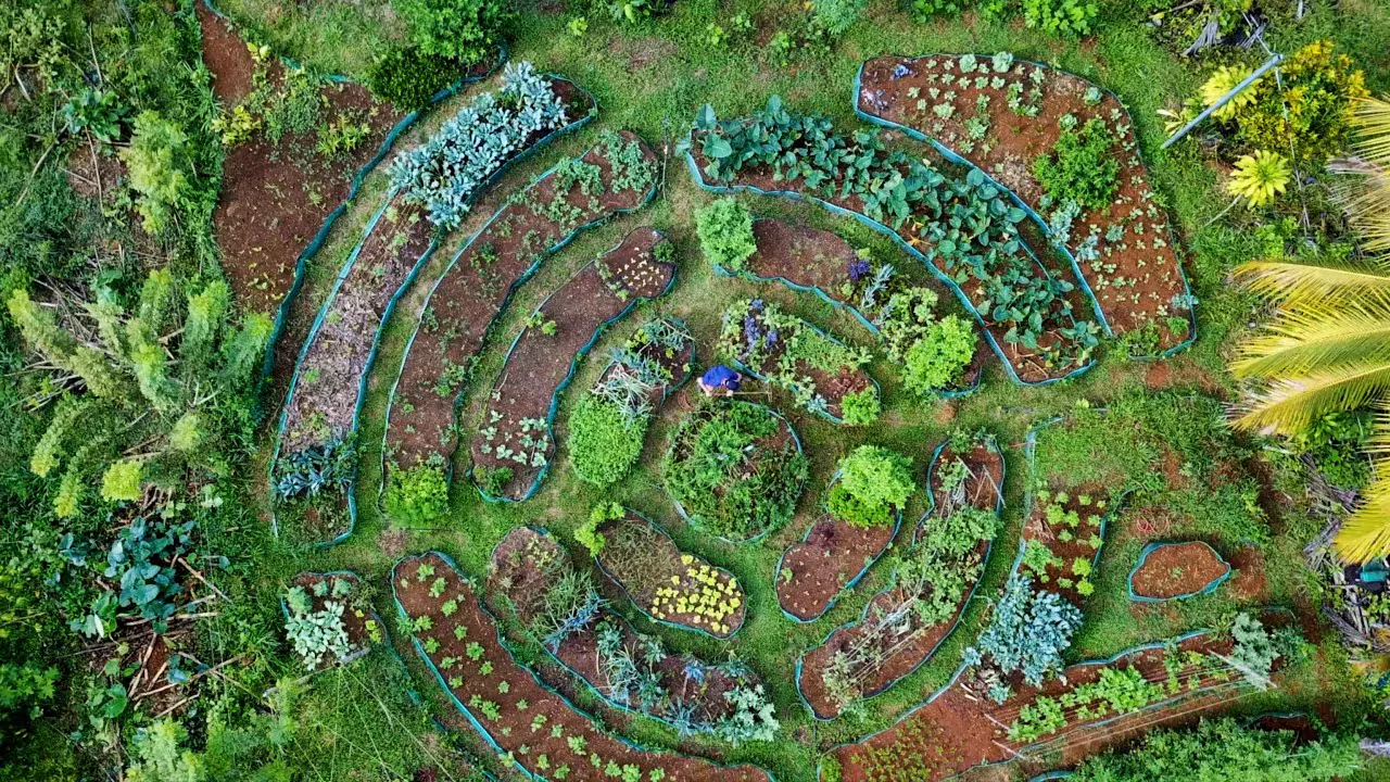 Compostagem: Transformando Resíduos em Ouro para Seu Jardim - inspiração 1