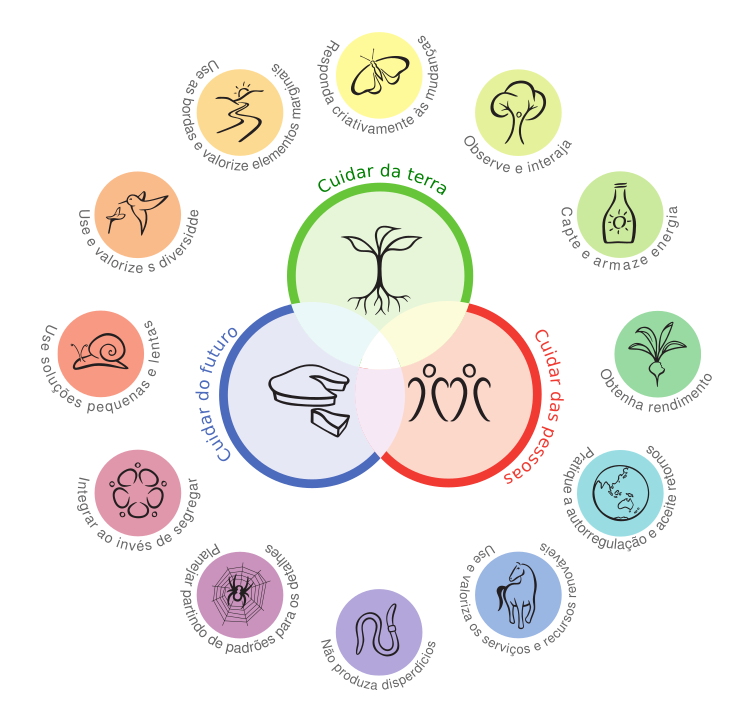 O Ciclo dos Alimentos: Da Produção ao Consumo Consciente - inspiração 2