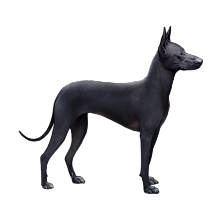 Variedades e Cores: Uma Paleta de Encantos da Natureza - inspiração 1