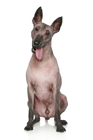 Rega Certa: Evitando Excesso e Falta Para Manter a Saúde - inspiração 1