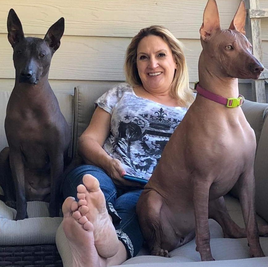 Solo Ideal: Preparando o Terreno Para um Florescer Vibrante - inspiração 1