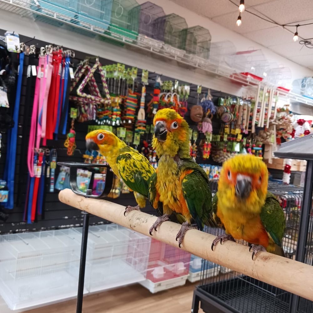 Primeira Visita: O Que Observar para Confiança Total - inspiração 1