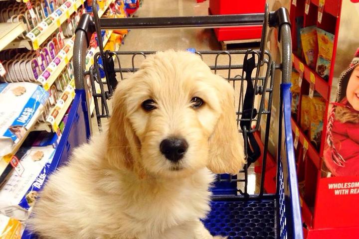 Primeira Visita: O Que Observar para Confiança Total - inspiração 2