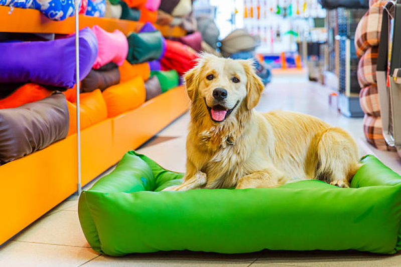 Tipos de Serviços: O Que Cada Pet Shop Oferece? - inspiração 2