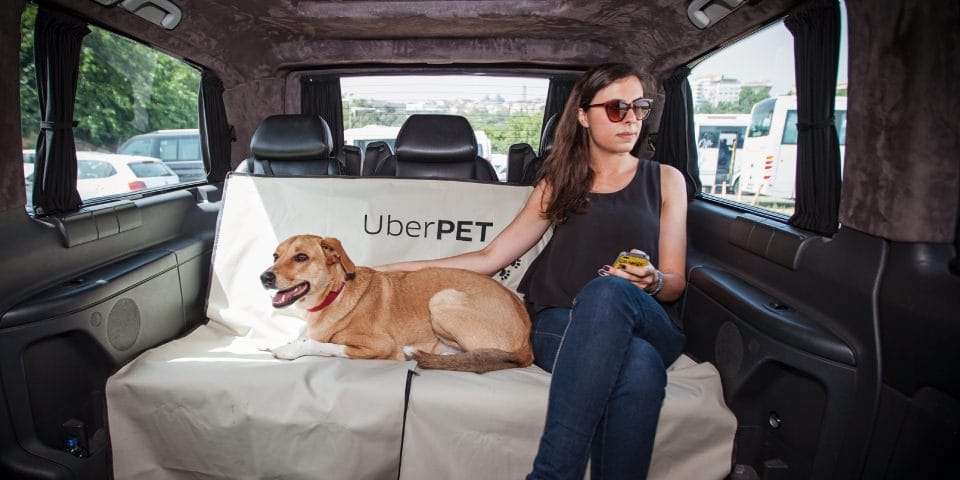 O Que é Exatamente o Pet Uber e Como Funciona? - inspiração 1