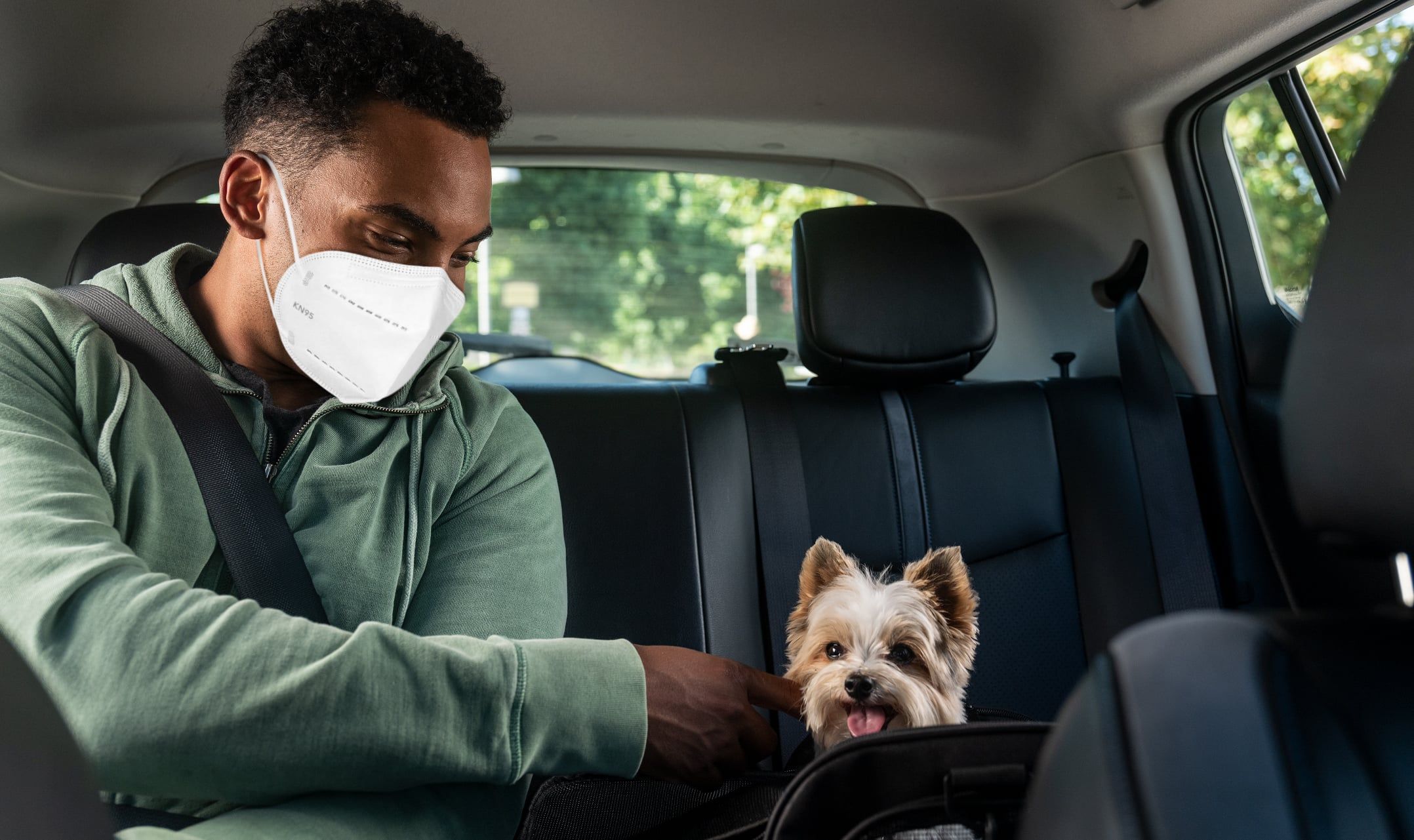 O Que é Exatamente o Pet Uber e Como Funciona? - inspiração 2