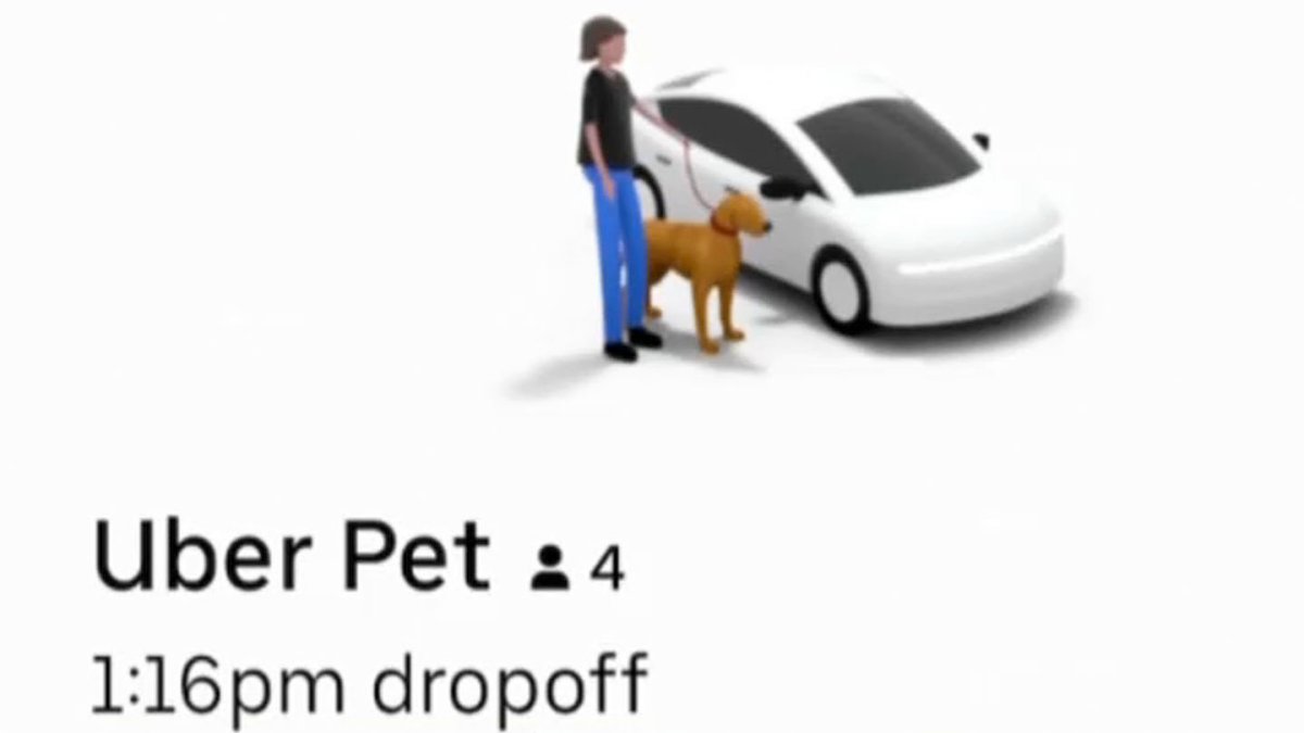 O Futuro da Mobilidade Pet: Tendências e Inovações - inspiração 2