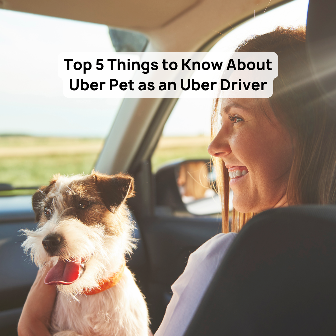 Agendamento Simples: Pedindo Seu Uber Pet - inspiração 2