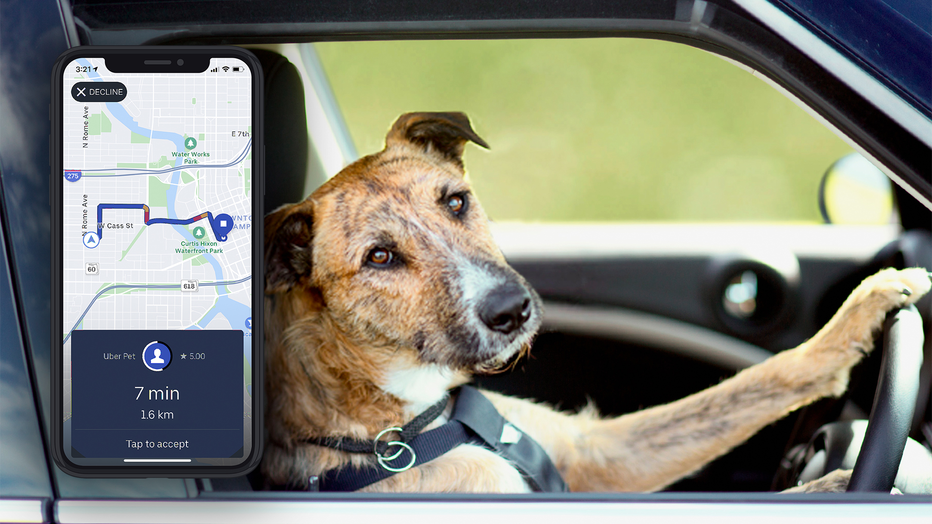 Cobertura e Disponibilidade: Onde o Pet Uber Atua? - inspiração 1