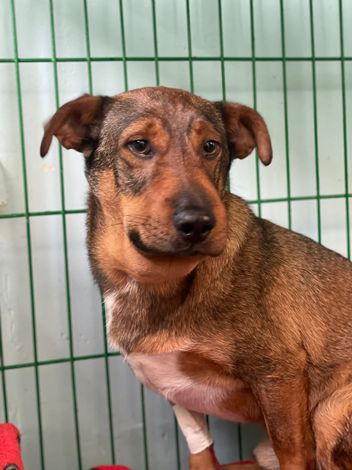 A Importância Crucial do Tempo: Por Que Cada Minuto Conta - inspiração 2