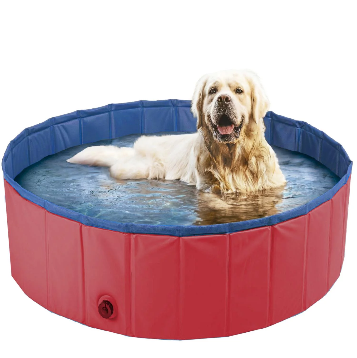 Por Que Investir em uma Piscina para o Seu Cachorro? - inspiração 1