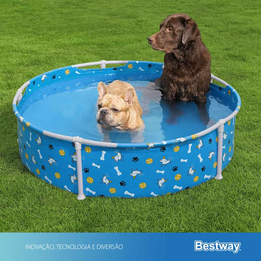 Por Que Investir em uma Piscina para o Seu Cachorro? - inspiração 2