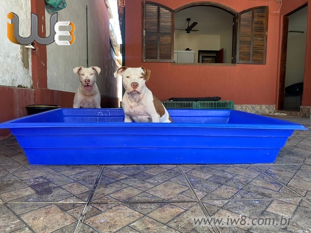 Material e Segurança: O Que Observar Antes de Comprar? - inspiração 1