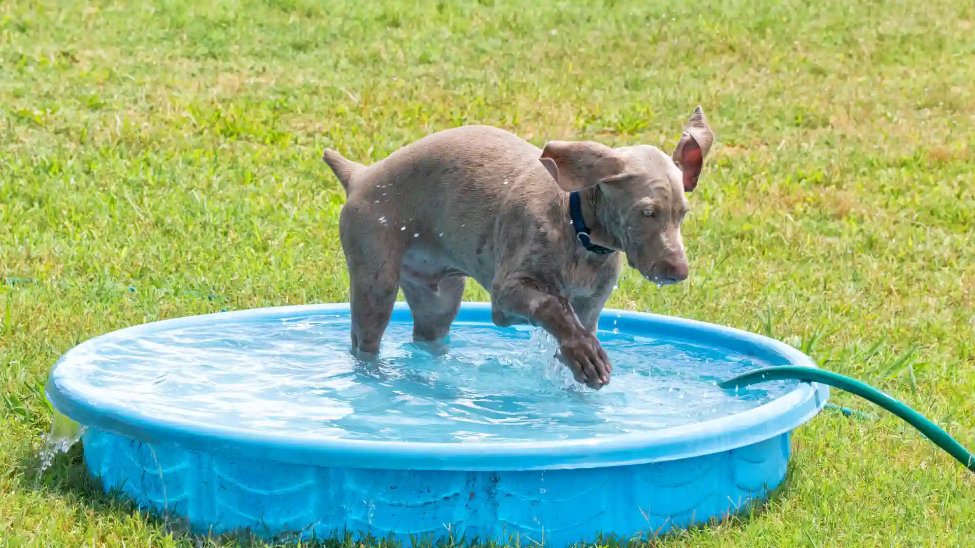 Montagem e Instalação: Um Guia Rápido para Você Mesmo Fazer - inspiração 1