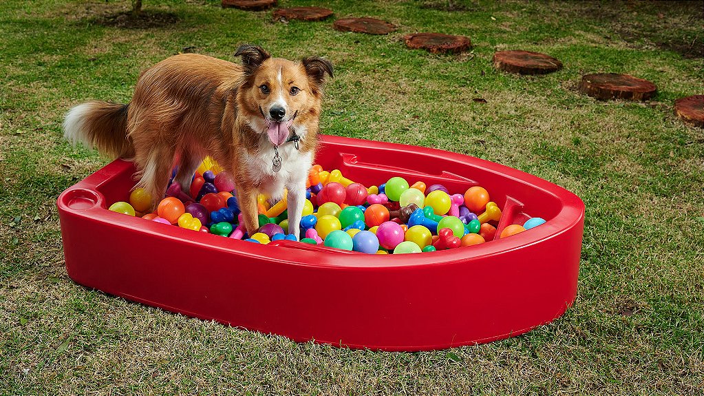 Manutenção e Limpeza: Deixando a Água Sempre Fresca e Segura - inspiração 2
