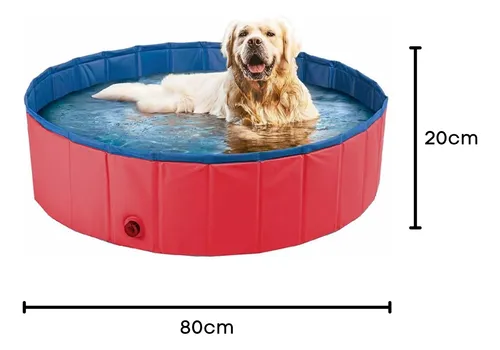 Acessórios que Fazem a Diferença: Conforto e Diversão Extra - inspiração 2