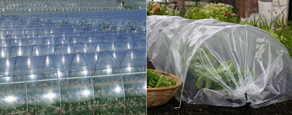 Alternativas e Tendências: O Futuro do Plástico no Agronegócio - inspiração 2