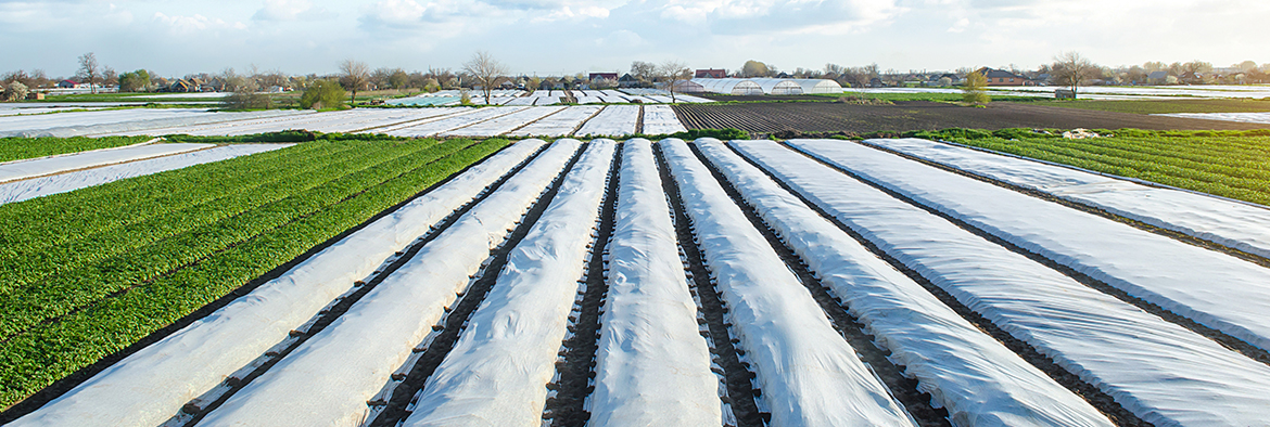 Irrigação Inteligente: Gotejamento e Microaspersão para Economizar Água - inspiração 2