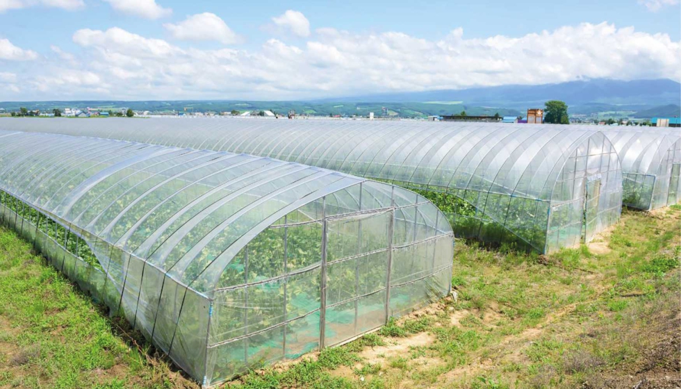 Embalagens: Da Colheita à Sua Casa, Proteção Essencial - inspiração 1