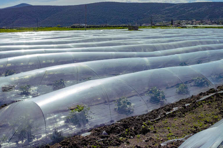 Otimização de Recursos: Como o Plástico Ajuda a Reduzir Perdas - inspiração 1