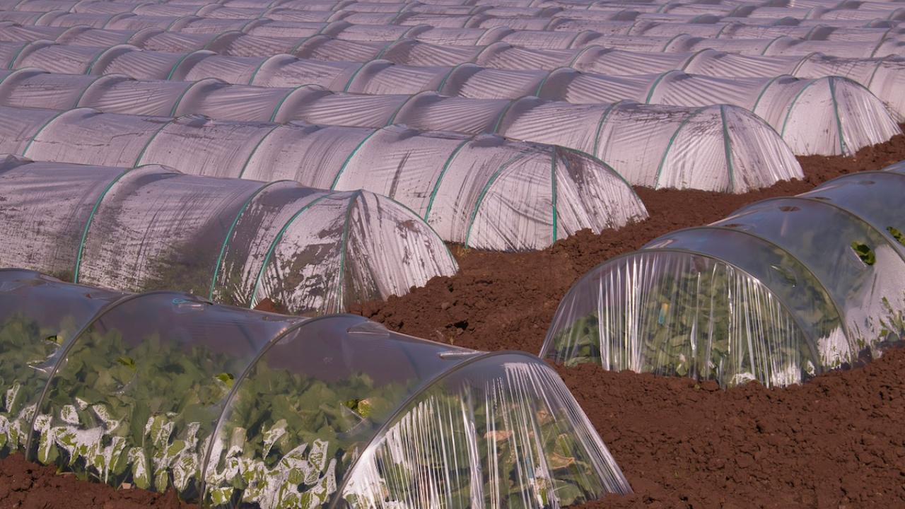 Sustentabilidade em Ação: Reciclagem e Novos Materiais - inspiração 2