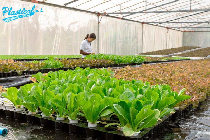 O Impacto na Produção: Qualidade e Quantidade das Colheitas - inspiração 1