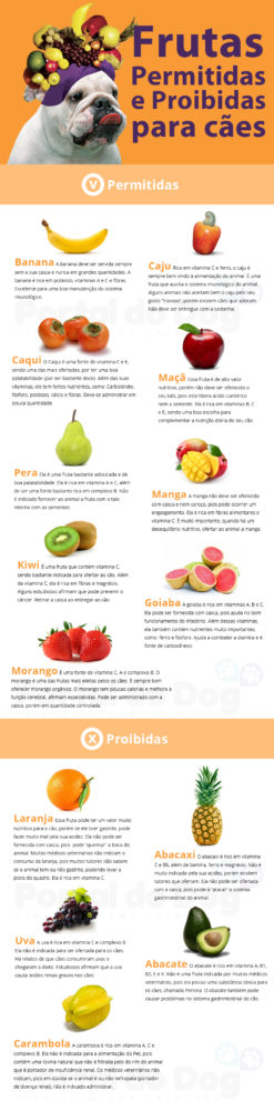 O Que Dizem os Veterinários sobre Frutas na Alimentação Canina - inspiração 1