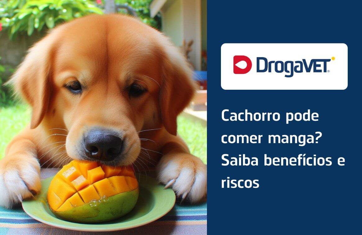 Benefícios Nutricionais da Manga para Cães - inspiração 1