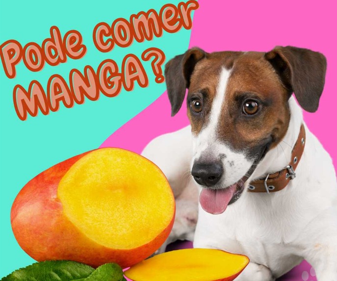 A Porção Ideal: Quanto Manga seu Cachorro Pode Comer - inspiração 1