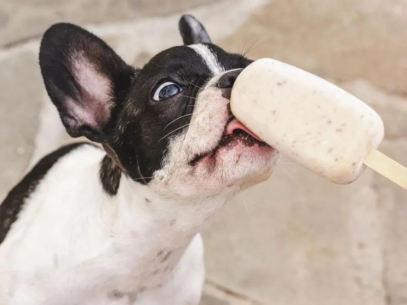 Sementes e Caroço: O Grande Perigo Oculto - inspiração 2