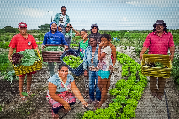 Educação e Capacitação: Formando Líderes do Agro - inspiração 1