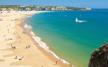 Treinamento Básico: Comandos Essenciais para um Dia na Praia Tranquilo - inspiração 2