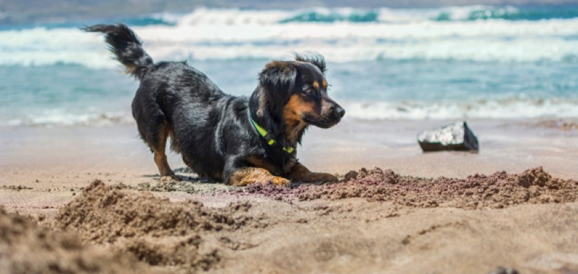 Primeiros Socorros Básicos: O Que Fazer em Caso de Imprevistos - inspiração 2