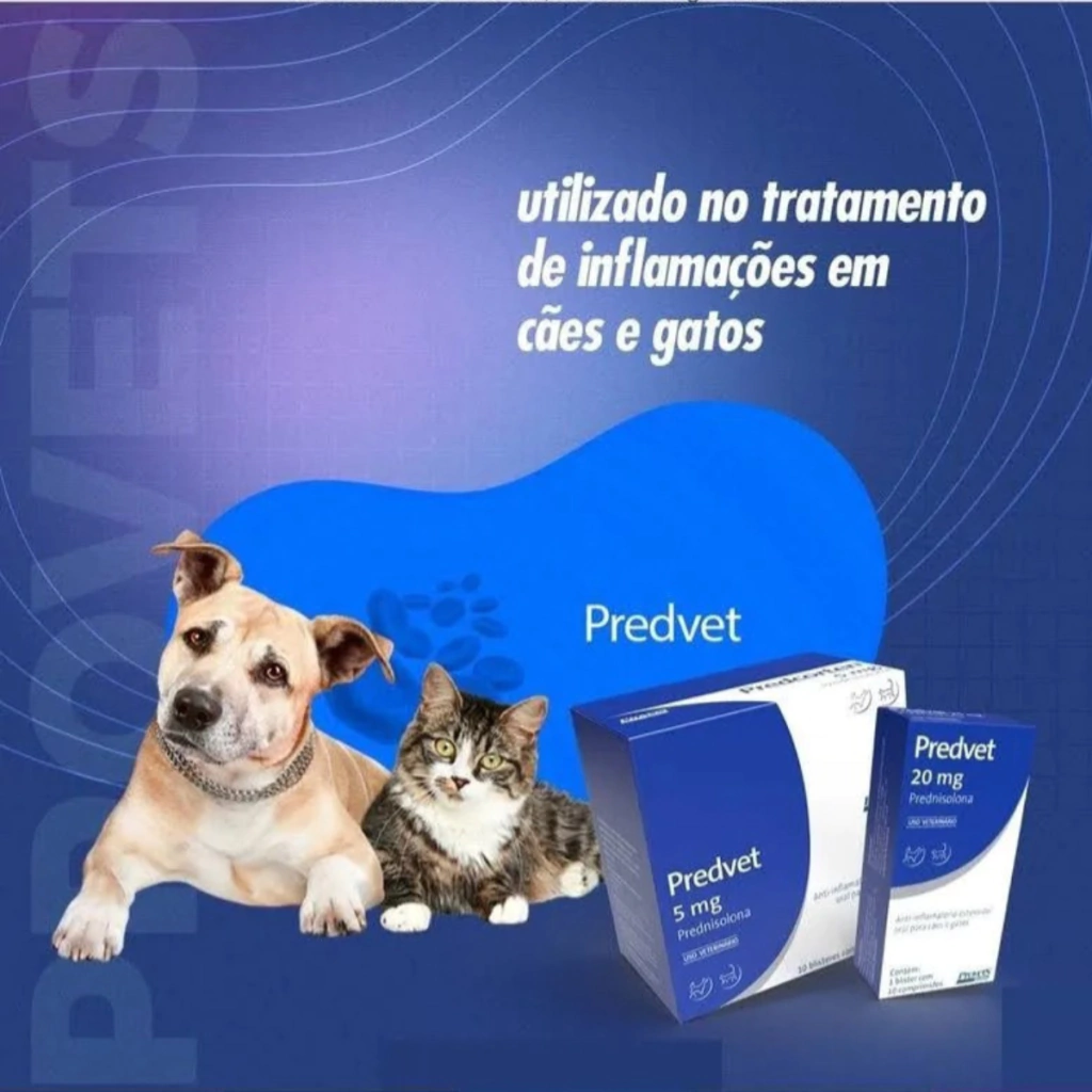 Mitos e Verdades Sobre o Uso de Prednisolona em Pets - inspiração 2