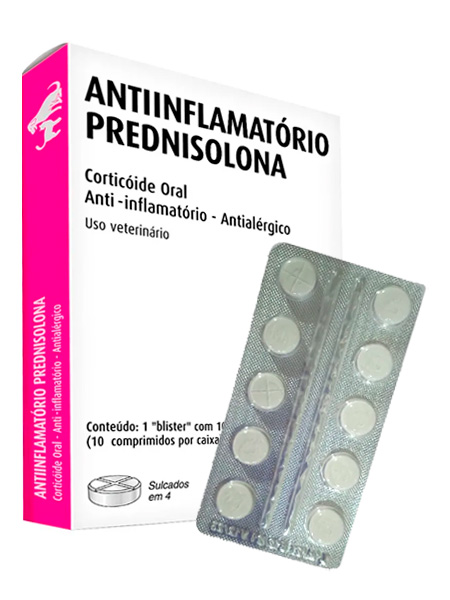 Precauções Importantes ao Usar Prednisolona - inspiração 2