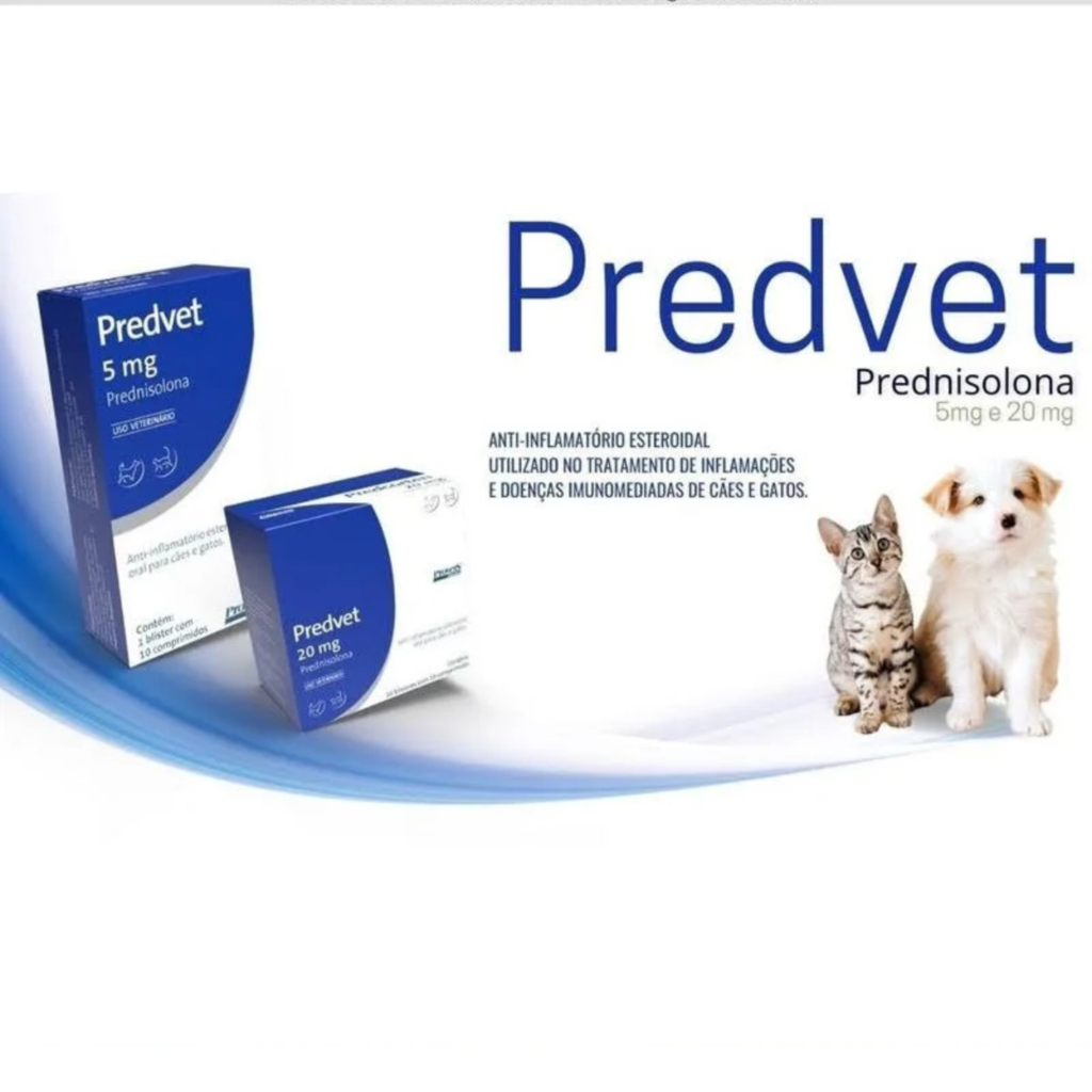 Alternativas Naturais e Complementares à Prednisolona - inspiração 1