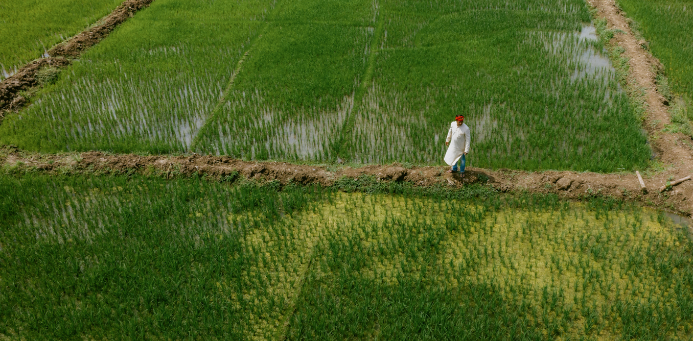 Previsões de Médio Prazo: Planejando Atividades da Semana - inspiração 1
