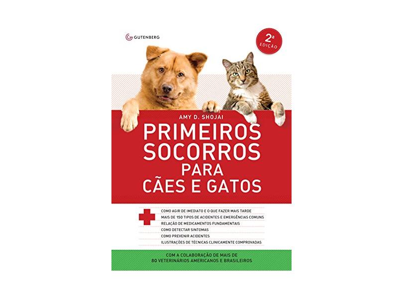 Lidando com Queimaduras: O Que Evitar e o Que Fazer - inspiração 1