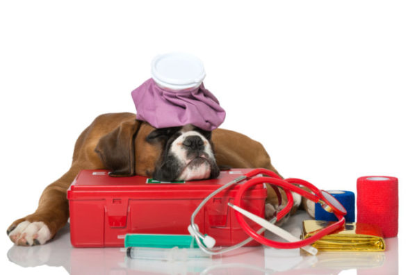 Intoxicações: Sinais e Primeiras Medidas em Casa - inspiração 2