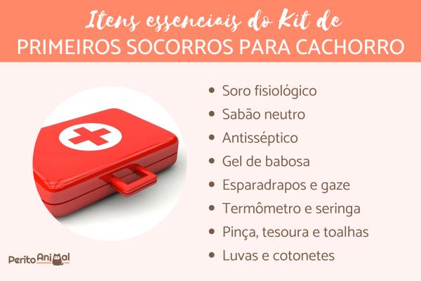 Sinais de Dor e Como Acalmar um Cão Ferido - inspiração 2